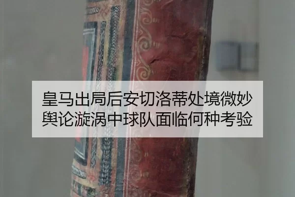 huang-ma-chu-ju-hou-an-qie-luo-di-chu-jing-wei-miao-yu-lun-xuan-wo-zhong-qiu-dui-mian-lin-he-zhong-kao-yan-2-535.jpg